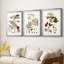 Feuilles et baies I - Impression personnalisée de qualité supérieure avec cadre - 3 pièces-457196811-457196854