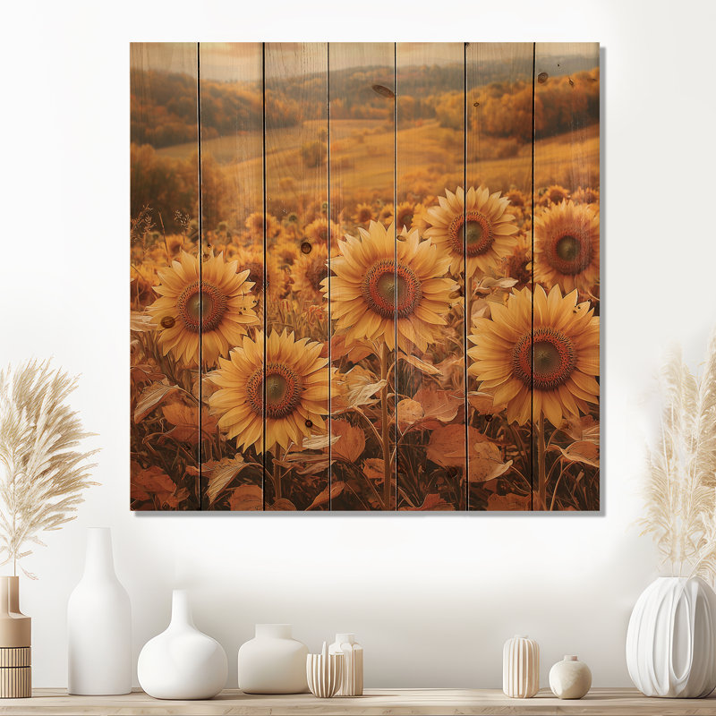 Country Side Sunflowers In Fall II - Sunflowers Wood Wall Art - On Natural Pine Wood, 30" H x 30" W x 0.78" D