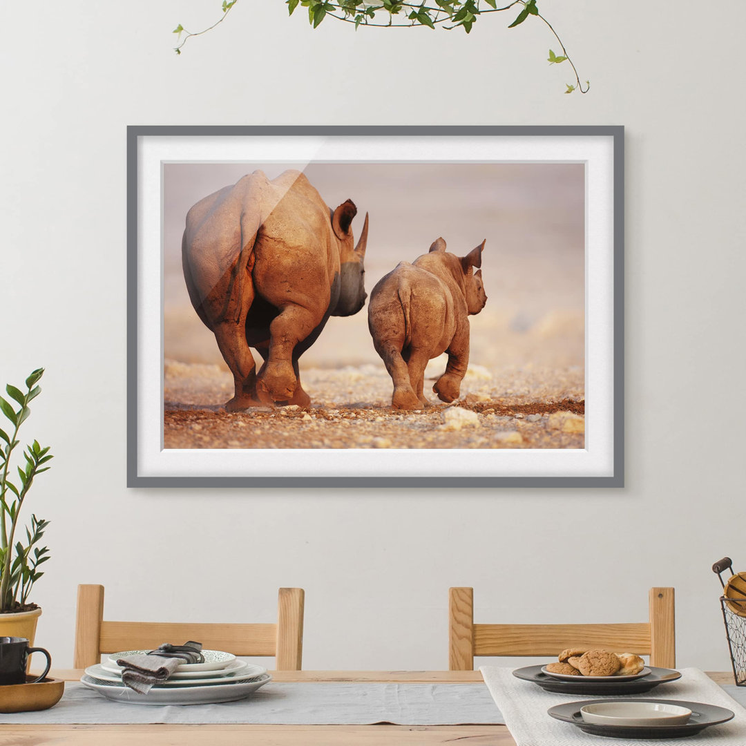 Gerahmtes Poster Wandering Rhinos