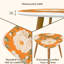 Ensemble de 2 tables basses gigognes Triangle