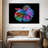 Chromatic Betta Fish-107923667