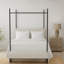 Omne Sleep 5-136346160-136346163