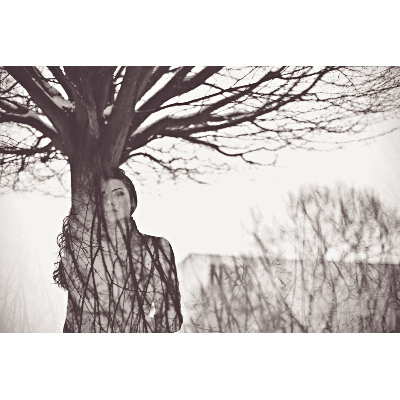 Woman Like Tree - Wrapped Canvas Print, 81cm H x 122cm W x 3.8cm D