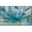 «Blue Awakening», reproduction-30895314-30117967