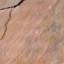 Radiant  6" x 6" Sandstone Vintage Wall & Floor Tile