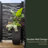 Latonia Planter Box-1636602854