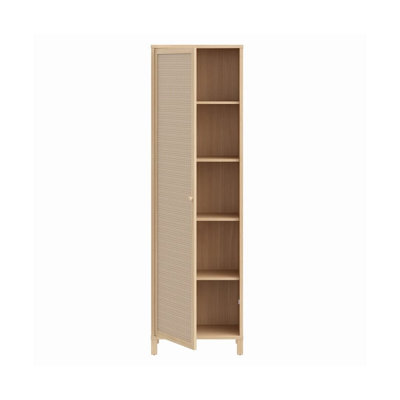 Tameyka 1 -Door Rectangle Accent Cabinet