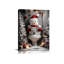 Print-1243543532