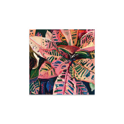 Pink Croton by Teddi Parker - Unframed Graphic Art