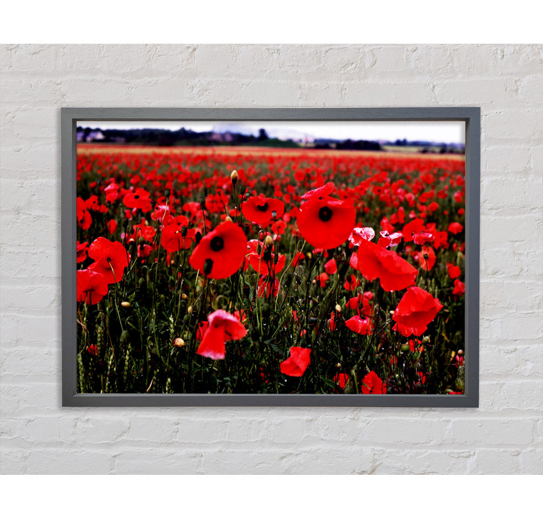 Gerahmtes Leinwandbild Red Poppy Field Hills