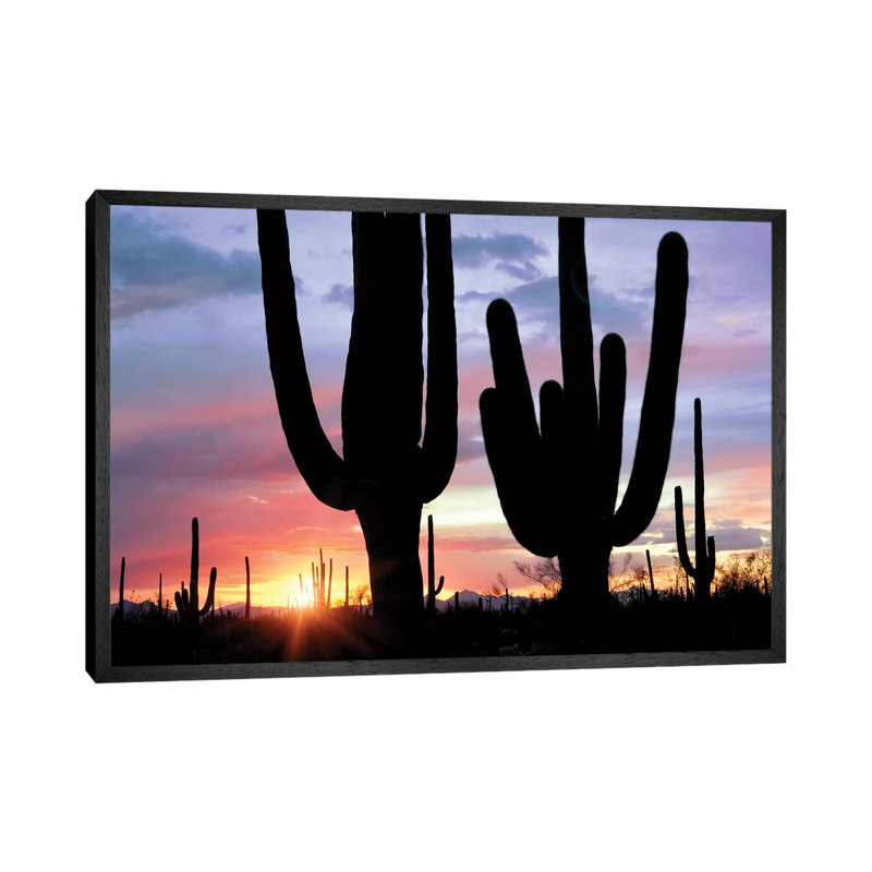 Saguaro Sunset by Dennis Frates - Print on Canvas, 66.04cm H x 101.6cm W x 3.81cm D, Black Framed