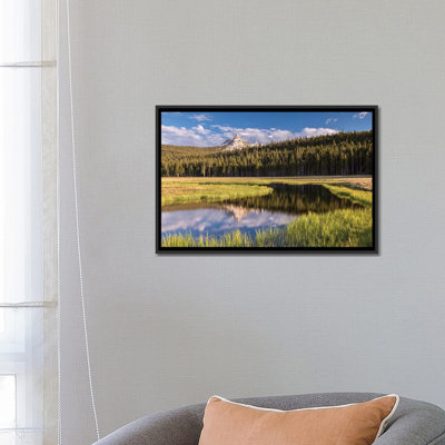 " Tuolumne Meadows " by Adam Burton