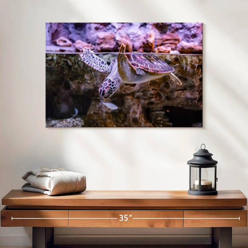 Brampt Turtle Aquarium, 16" H x 24" W