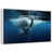 Floating Frame White