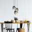 Lucey 3 - Light Black Bell Pendant