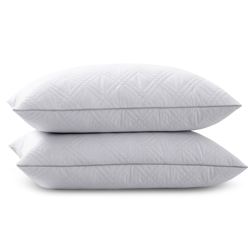 Cotesfield Plush Pillow, 20" H x 30" W