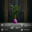 Handmade Pot Planter-52454980