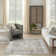 Nourison Astra Machine Washable Silver Taupe Vintage Indoor Rug