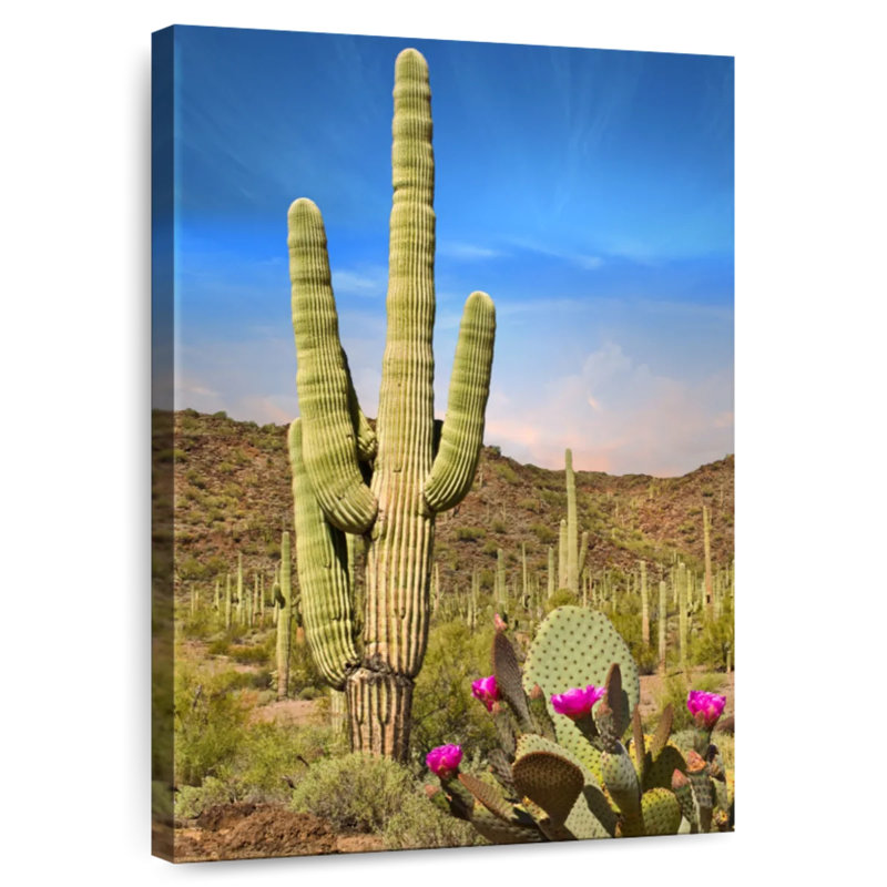 Harnek Saguaro And Prickly Pear Cactus, 48" H x 32" W