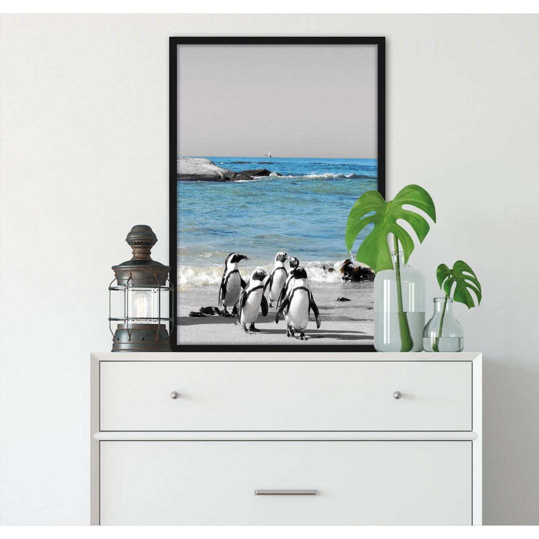 6072_Lustige Pinguine Am Strand - Poster Im Rahmen