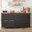 78cm Wide 2 -Drawer File Cabinet-1162867469