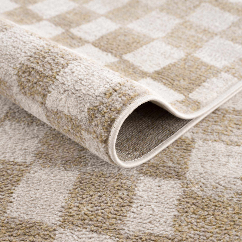 Jasha Checkered Area Rug, Rectangle 4' x 6', Beige