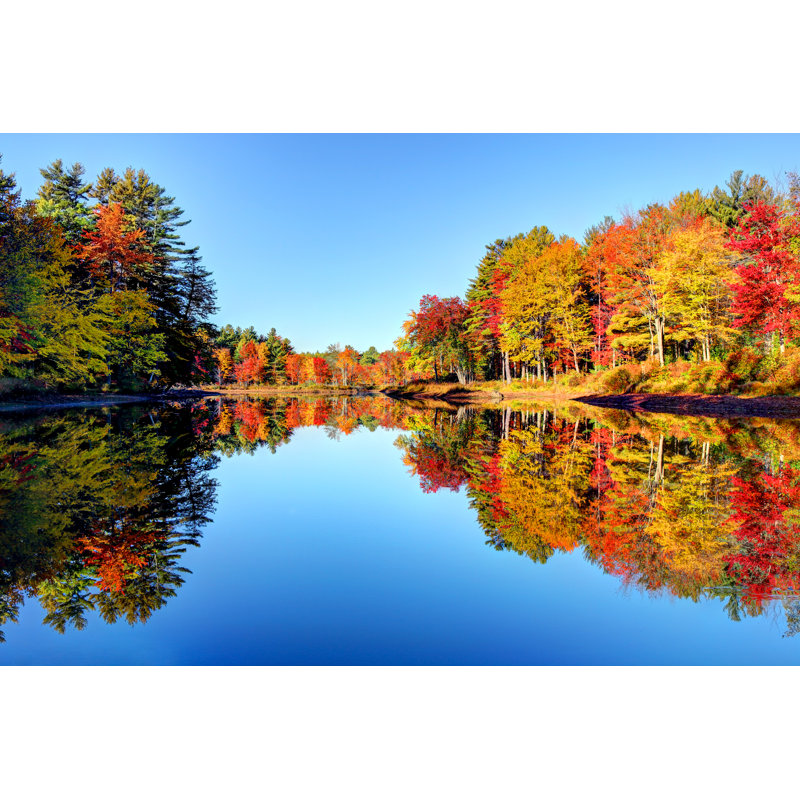 Autumn Foliage - Wrapped Canvas Print, 61cm H x 91cm W x 3.8cm D