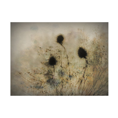Anniebell Katarina Holmstrom Seed Boxes Canvas Art