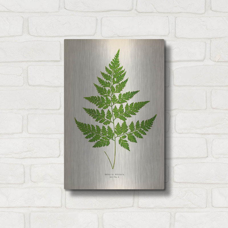 Art mural luxueux «Davallia Pyxidata» par Art Licensing Studio, 12 po x 16 po