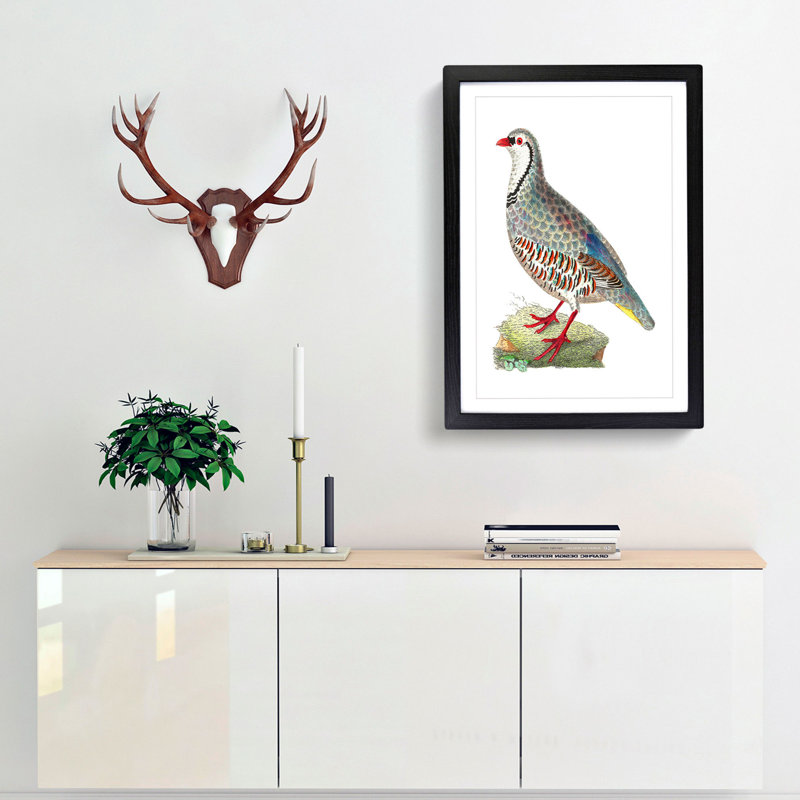 Red Partridge by George Shaw - Framed Print, 48cm H x 36cm W x 2cm D, Black Framed