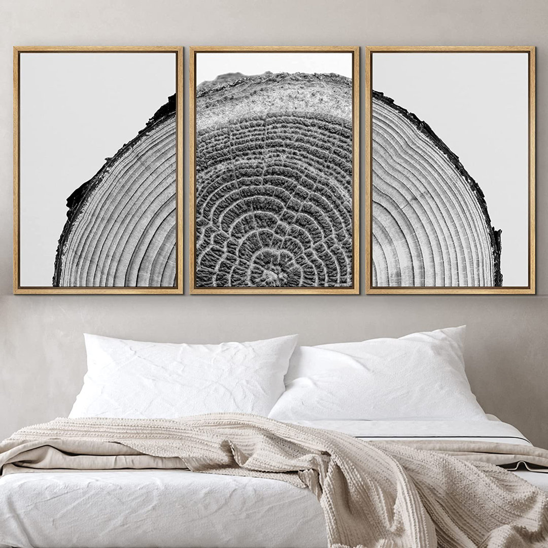 Black and White Wood Tree Rings Modern Neutral Framed Canvas 3 Pieces Pictures Print Wall Art IDEA4WALL Frame 