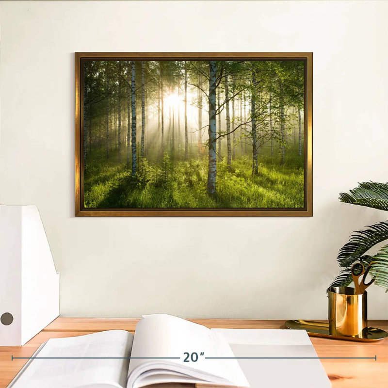 Birch Forest Sunlight, Cadre flottant doré, 13 po x 9 po