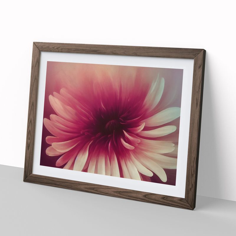 Cute Chrysanthemum Flower Vol.3 - Framed Print, 34cm H x 46cm W x 2cm D, Walnut
