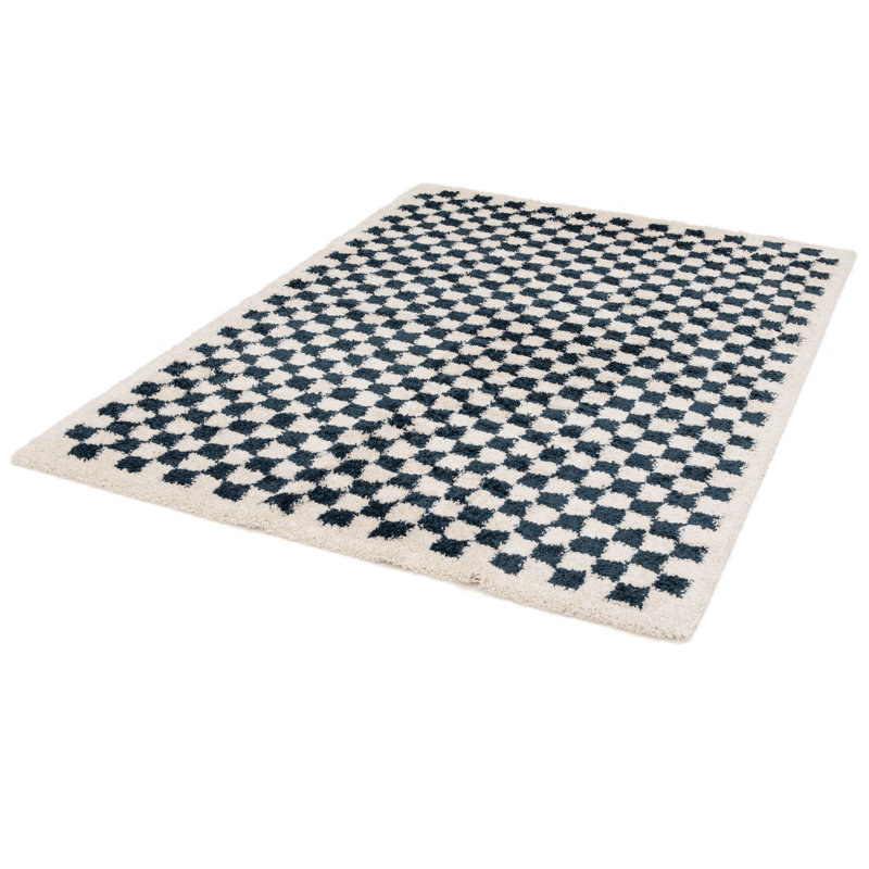 Barrile Chequered Machine Woven Area Rug, Rectangle 160 x 213 cm