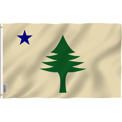 36"H X 60"W Maine State Flag Polyester House Flag
