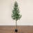 13ft. Artificial Olive Tree
