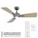 Mykonos 52" 3 - Blade Outdoor/Indoor Smart Ceiling Fan with Remote Control and LED Light Kit Included, Works With Alexa and iOS or Android App