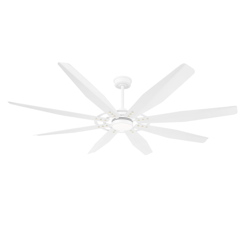 Fianna 60'' 72'' Ceiling Fan with Light Remote Control, 8-Blades Large Industrial Ceiling Fan Reversible Quiet DC Motor 3CCT/6-Speed