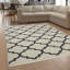 Huynh Oriental Area Rug-660359866