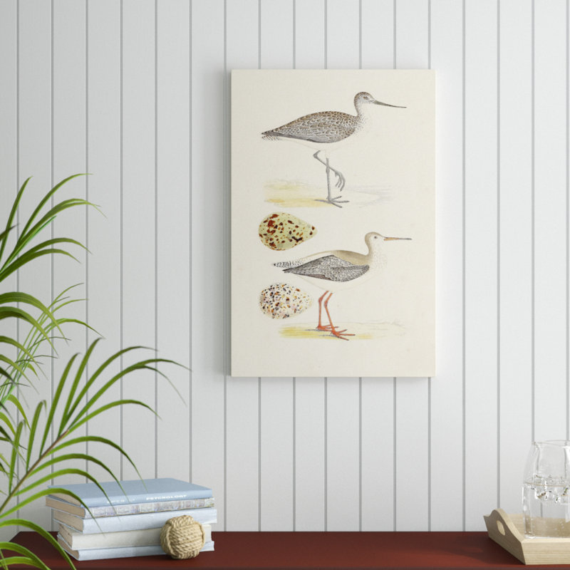 «Sandpipers and Eggs I», impression sur toile, H 30 po x l 20 po
