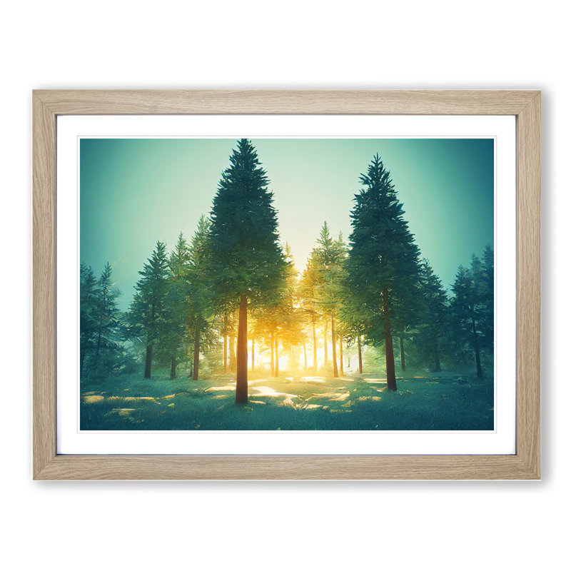 Spectacular Pine Tree Forest - Framed Print, 46cm H x 64cm W x 2cm D, Oak