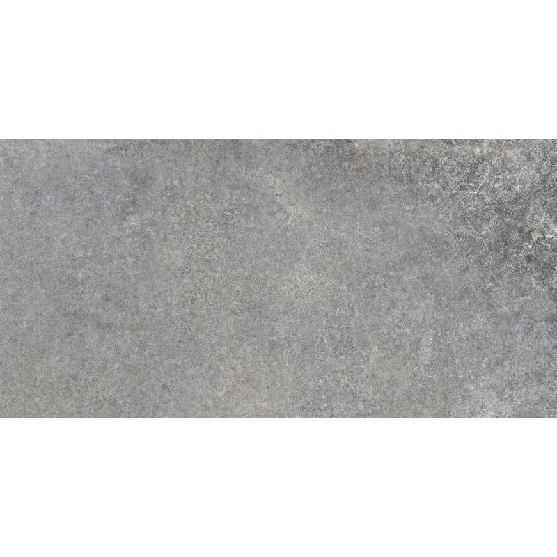 Carreau de porcelaine mat 12 "x 24" The Wilds, Argent