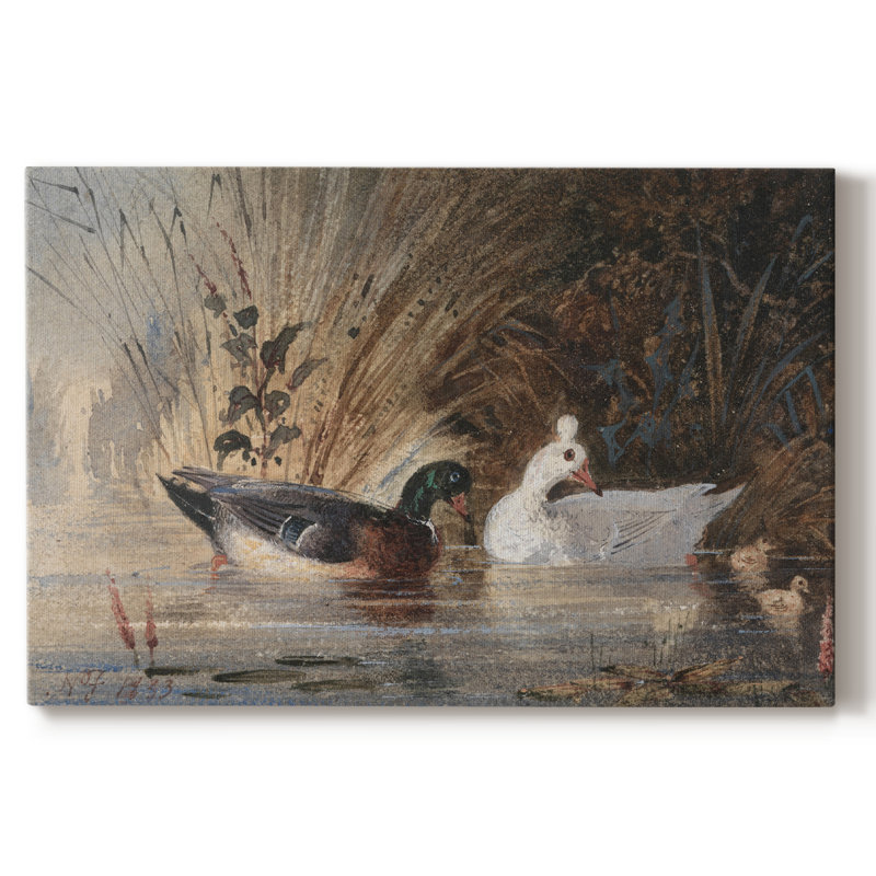 "Vintage Animal - XVIII" sur toile, H 41 po x l 61 po x P 1,5 po, Toile tendue