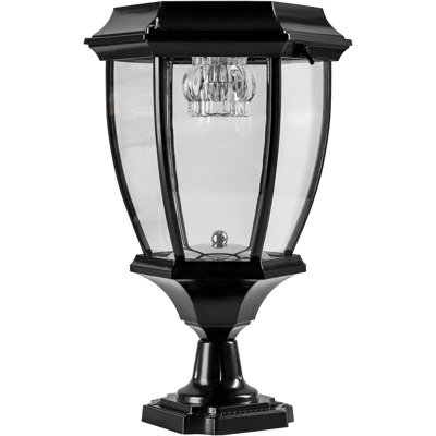 Aleceia Lantern Head