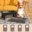 Ericka Elevated Feeder-304590785