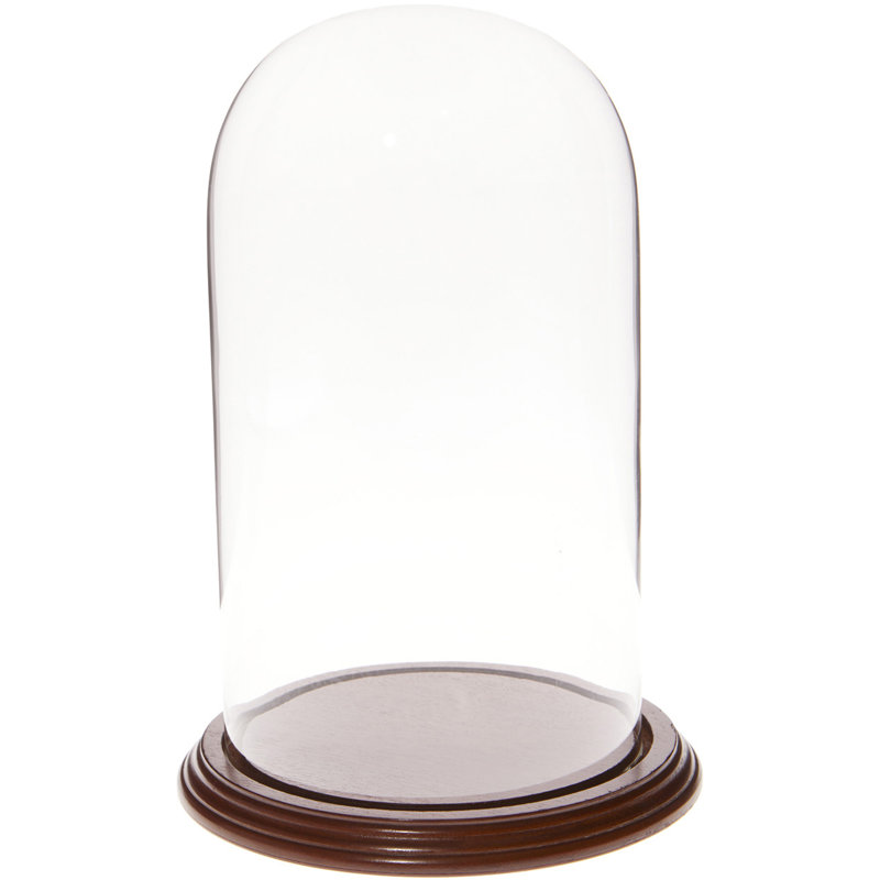 Cloche à dôme en verre 5,5 "x 10" Jenett, Base en placage de noyer