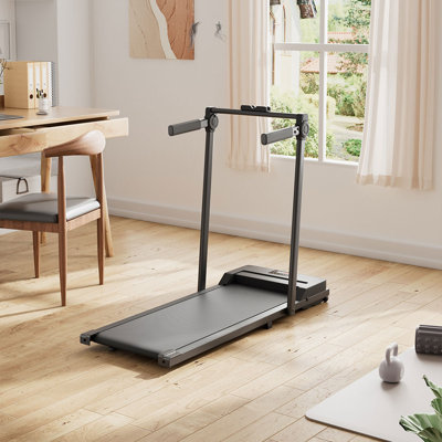 Steel, PP Sports Rack