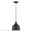 Luminaire suspendu Catrinia-121436241