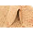 Olson Tan Rug