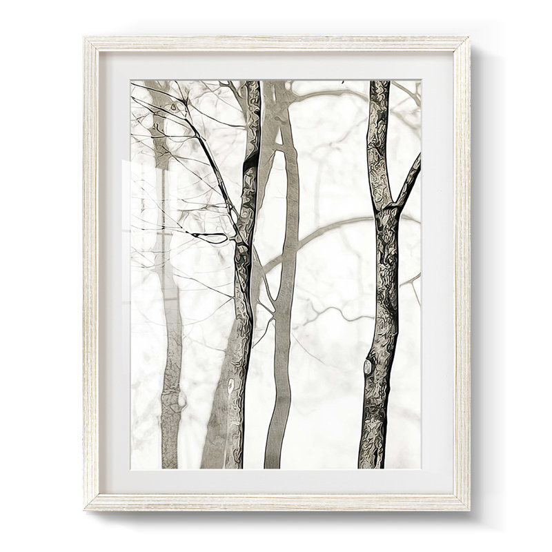 Shadowed Tree Trunks I -Framed Print, 28.5" H x 20.5" W, White